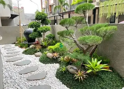 Taman kecil dengan jalan batu pipih, kerikil putih, dan bonsai pinus