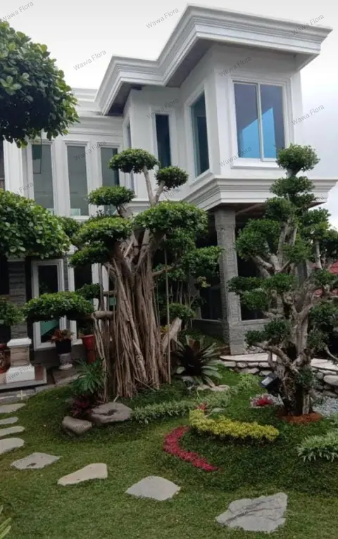 Rumah bertingkat dengan bonsai dan jalan batu di halamannya