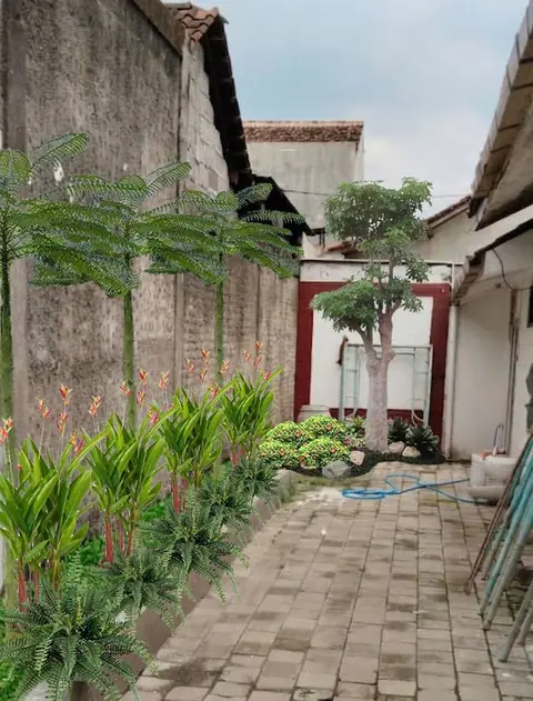 Lorong samping rumah dengan paving dan tanaman di sisinya